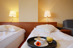 Hôtel Dwór Bogucin 09